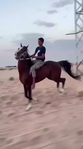 #لحضه_ادراك #fypage #خيل_وخياله🐎 