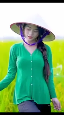 #nhachaymoingay❤️ #miền cần Thơ gạo trắng nước trong vui niềm vui ấm no cuộc sống 