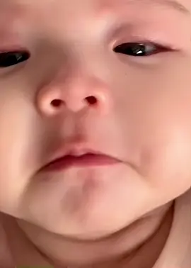 #babybear #beyeu 