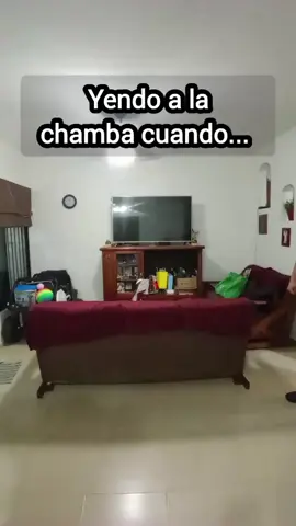 Fumigación 💀 @mantecado 