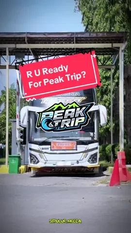 H-4 Menuju @peak.trip bersama “Mecca”, apakah kalian sudah siap? 🤩🤩 audio by: @IjulRMX??💭 [ OREO ]  @Tonikecil24 #nttstrans #nttstransbus #nttstransport #mecca #ayonaikbus #adiputro #halloparapembenci #telolet #basuri #nttsmecca #cinematicbus 