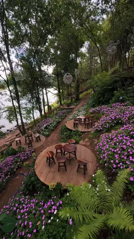 Đà Lạt luôn ở trong tâm trí #dalat #canhdepdalat #dulichdalat #dalatdidau #happyhilldalat #hotuyenlam #coffeedalat 