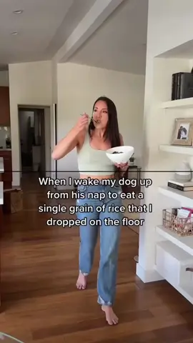 When I wake my dog up to eat a grain of rice off the floor