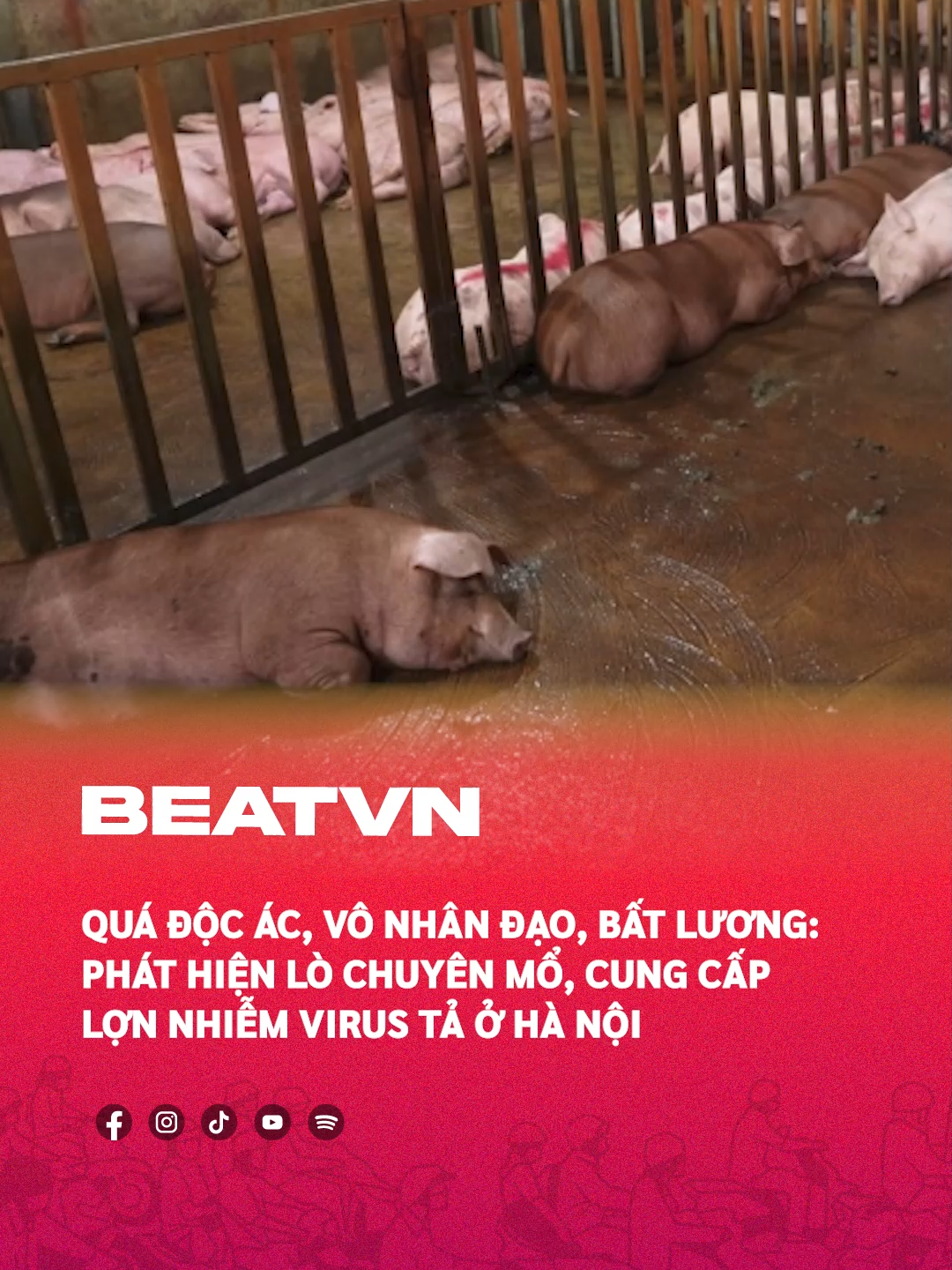 Vô nhân đạo, bất lương #beatnetwork #beatvn