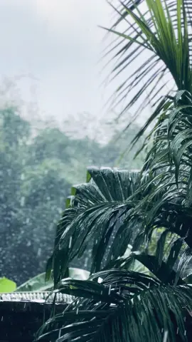 মুষল ধারে বৃষ্টিতে একা বেরিয়ে বৃষ্টি বিলাস.. এ এক অনন্য অনুভূতি..!❤️‍🩹💦 #viral #foyou 