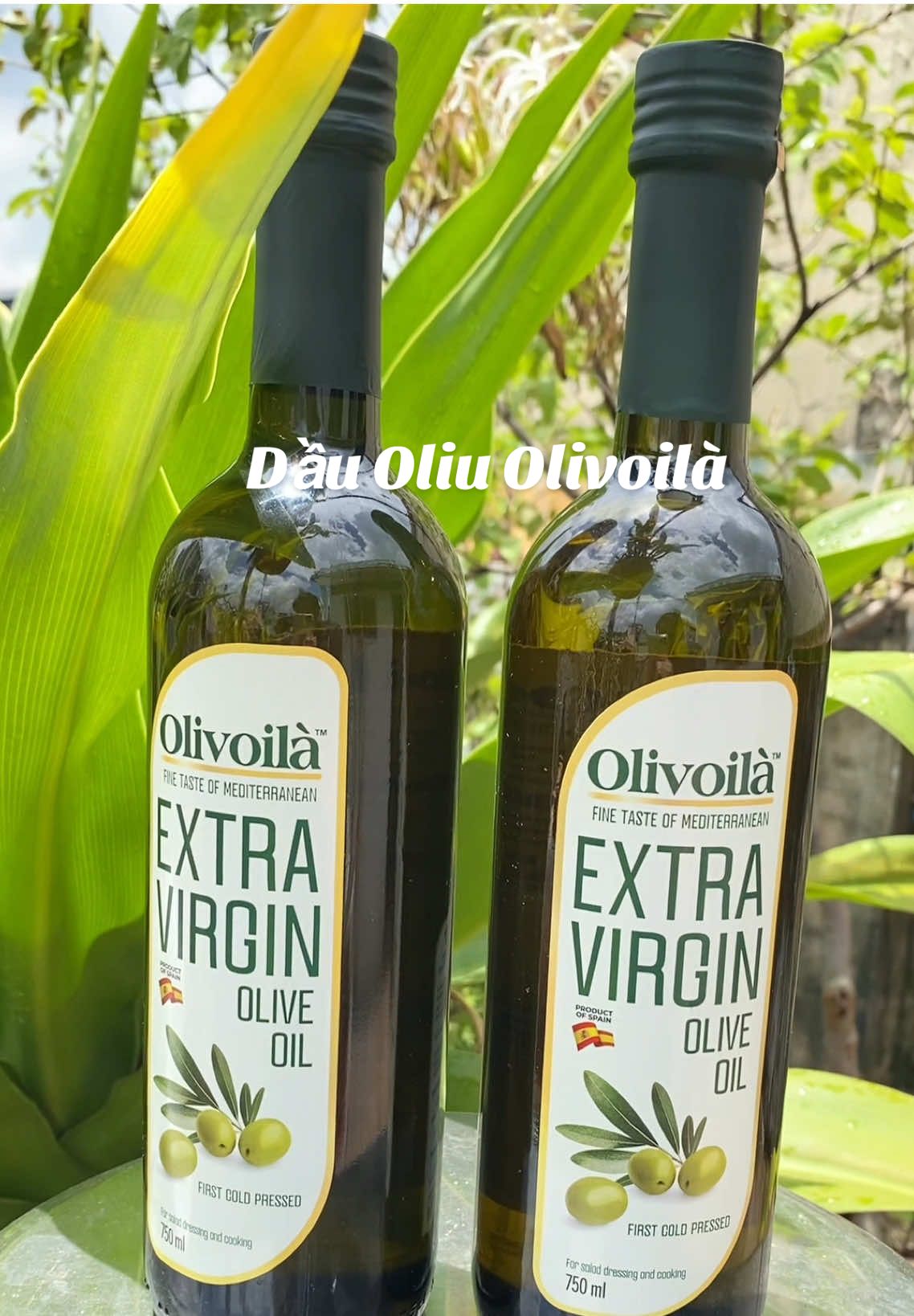 Dầu oliu nguyên chất #dauoliu #dauoliuextravirgin #muataitiktokshop #thuhaifreeship #saleluongve #salegiuathang #tueminhdaily 