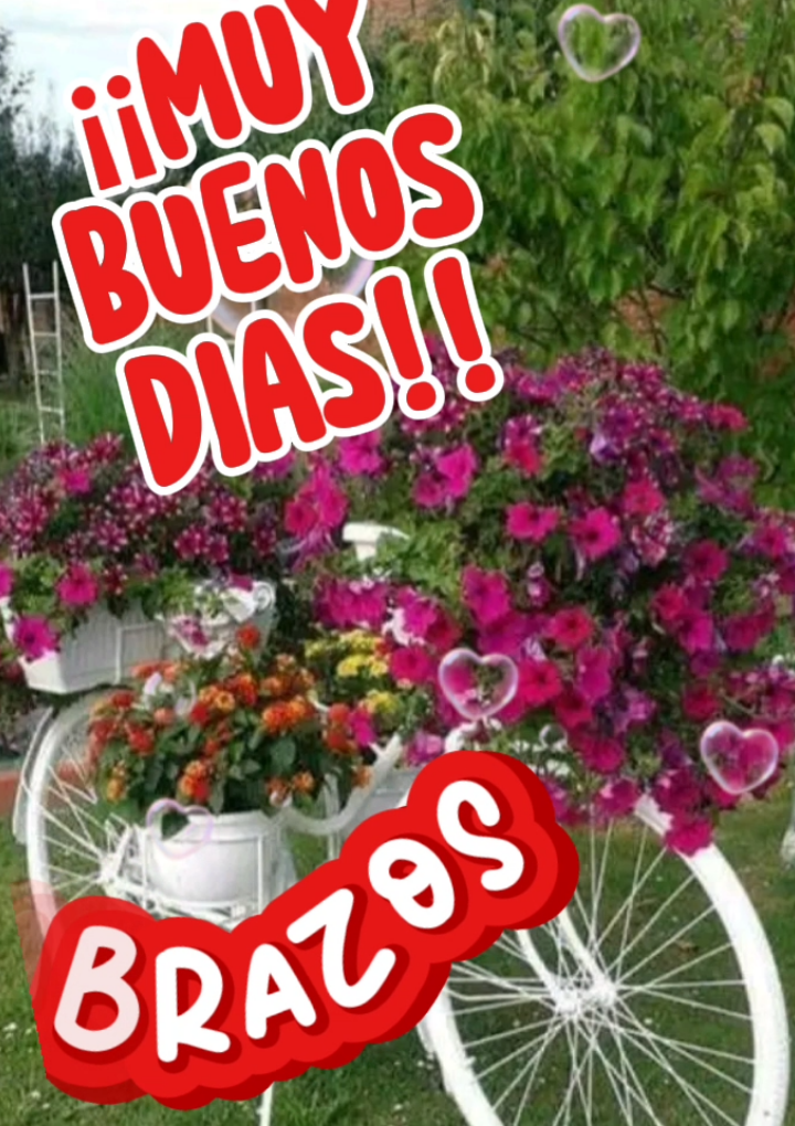 #CapCut #buenosdias #paratodos #soycreadoradecontenido 