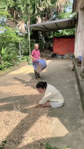 Cùng bà phơi đậu phộng 🥜 #ngatichcucphutho @Nga Tích Cực Shop 