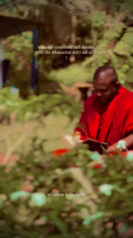 සත්තයි ! 💜🌸 #ven_ariyagnana #h_a_thero🌸 #🌻the_shan🌻 #shanlyrics✔ #foryoupage #viral #viralvideo 