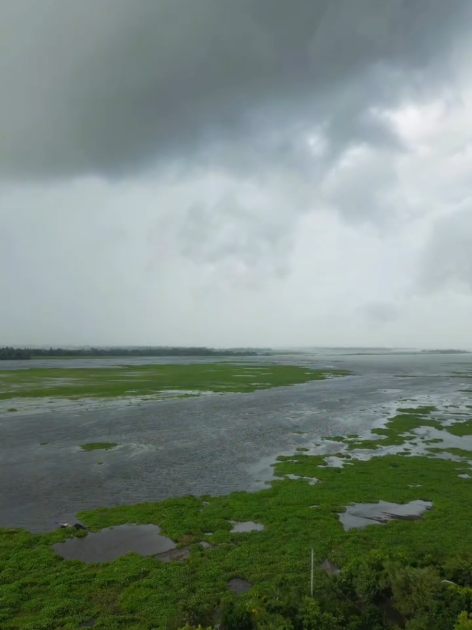 #bangladesh🇧🇩 #বৃষ্টি আসার আগ মুহূর্তে ঠান্ডা হাওয়া প্রান’টা জুড়িয়ে দিয়ে যায়🌧🌾 #creatorsearchinsights #viralvideo #foryou #foryoupage #fypシ゚viral #fyp #fypage #foryoupageofficiall #tiktokviral #bangla #nature #villagelife #@TikTok Bangladesh #টাংগাইলের_পোলা #salmanahmedid #oman🇴🇲 #bdtiktokofficial🇧🇩 