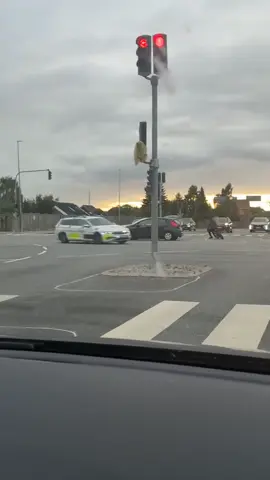 #politi #police #policia #polizei #police #driv #fast #danmark #dansktiktok #dk #københavn #aarhus #odense #money #catchmeifyoucan #catchme #loveyou #punishment #firstplace #ghetto #traffic #trafficstop 