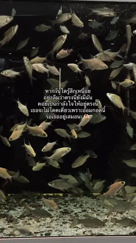 🫶🏻 #คำคม #แค่ปชั่น #เเฟน #แท็กแฟน #ท้องฟ้า #ท้องฟ้า #fyp #อย่าปิดการมองเห็น #แฟนฉันน่ารักที่สุด 