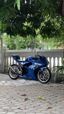 Lama gk nongol #beranda #gsxr150 #fypシ 