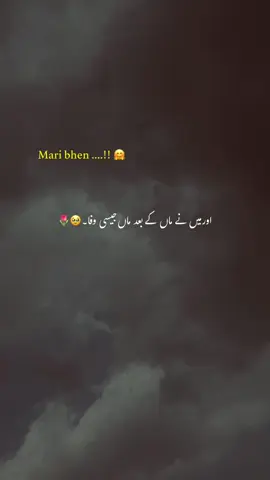 𝐌𝐚𝐫𝐢 𝐛𝐡𝐞𝐧 💗🌸🕊️ | #1millionaudition #foryoupage #account #viral #urdu #aesthetic #poetry #poetry #fypシ #unfreezaccount #tiktoksolve 