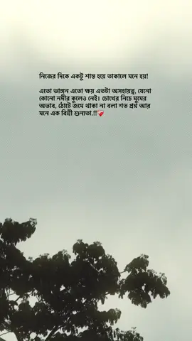 নিজের দিকে একটু শান্ত হয়ে তাকালে মনে হয়!  এতো ভাঙ্গন এতো ক্ষয় এতটা অসহায়ত্ব, যেনো কোনো নদীর কুলেও নেই। চোখের নিচে ঘুমের অভাব, ঠোটে জমে থাকা না বলা শত প্রশ্ন আর মনে এক বিশ্রী শুন্যতা.!!❤️‍🩹
