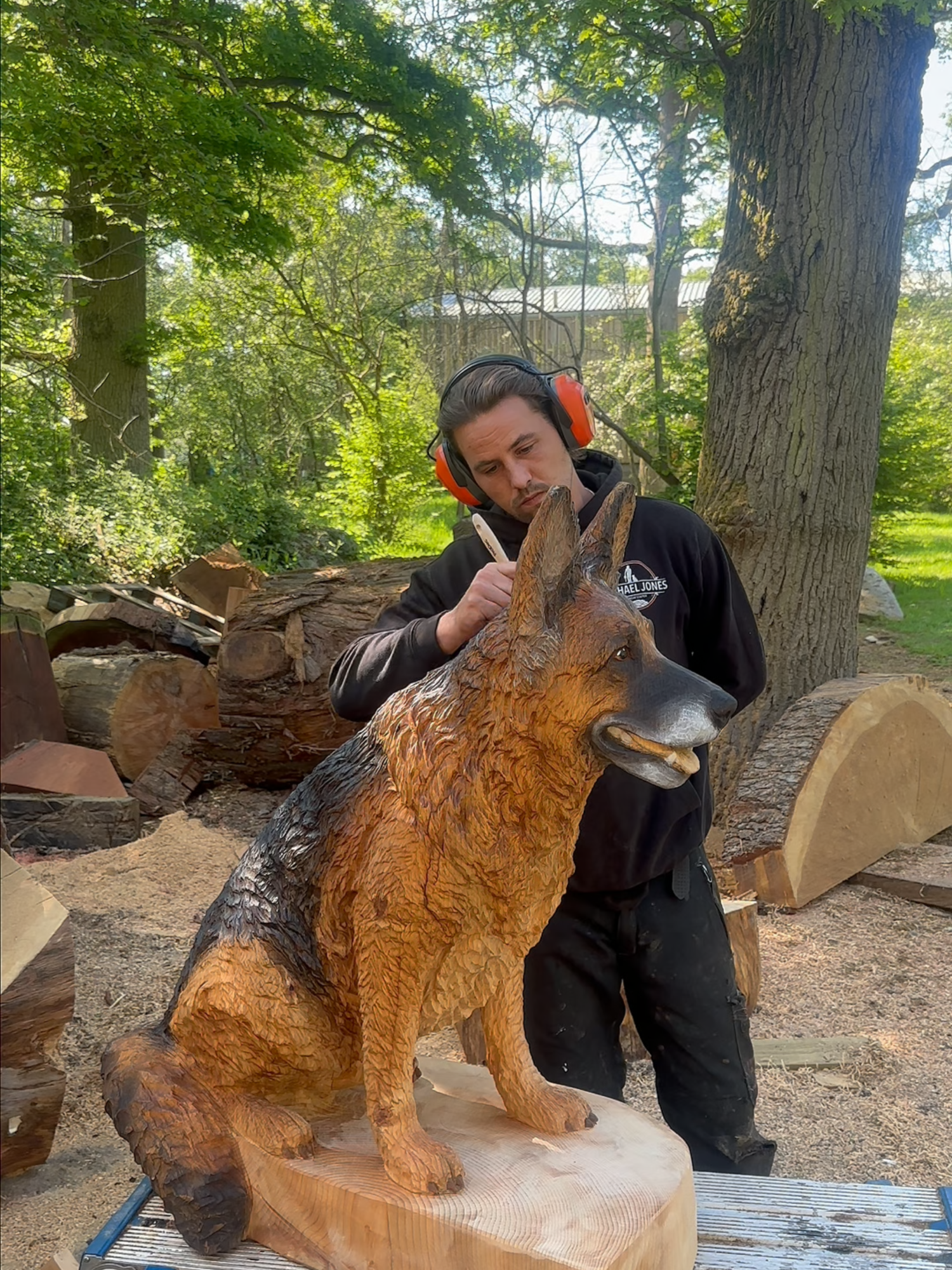 A little oil to finish off this GSD Sculpture! #woodworking #chainsaw #dog #gsd #gsdoftiktok #artist #sculpture #sculptureartist #artwork