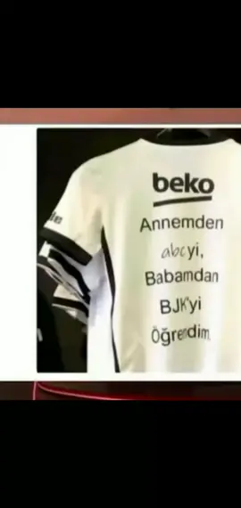 Liverpool fan saymayi