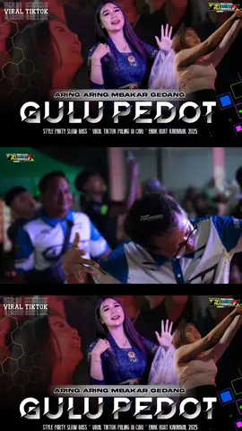Dj Gulu pedot Nrotok #djintannovela #fyp 