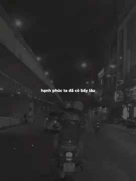 Hạnh phúc ta đã có bay lâu phải đánh đổi biết bao đắng cay cuộc đời #captions #nhactamtrang #sttbuontamtrang 