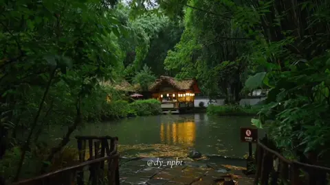 “Gió thổi nhẹ qua tàn hoa, ta còn niệm quy khứ, người đã xa nghìn trùng” #canhdeptrunghoa #canhdeptrungquoc #canhdeptrangian #hongtrankhachtram #199X #suutam #ost #kinhsongthanh #niemquykhu #chautham #nhactrungquoc #nhactrungquoctamtrang 