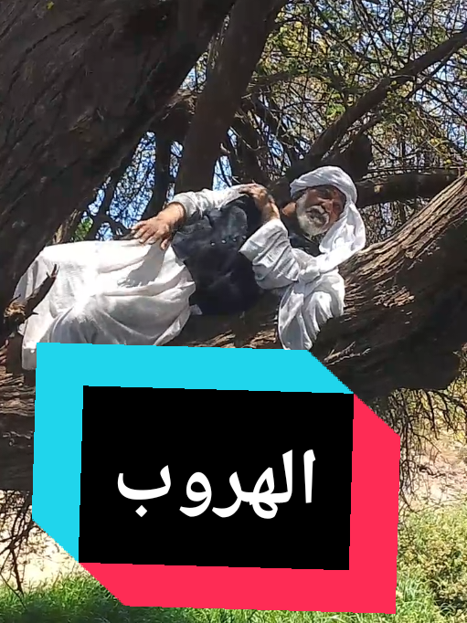 الهروب  #ابو_ايوب  #مصر  #اسوان_الاقصر_قنا_سوهاج_اسيوط_السودان  #الصعيد_اسوان_ادفو_الاقصر_قنا  #فيلم 