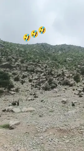 madad Khan#foryou #viralvideo #sapprt_me🙏🙏 #afganistan🇦🇫 #donkey #🤣🤣🤣🤣🤣🤣🤣🤣🤣🤣🤣🤣🤣🤣🤣🤣 #