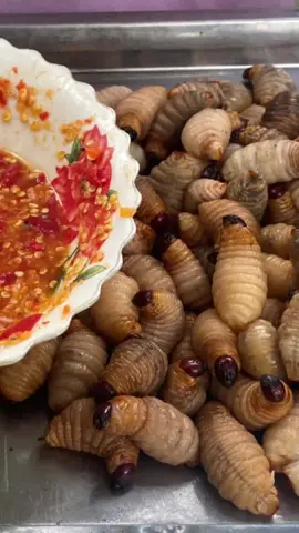 #fyp #food #Eating #cooking #cook #fried #worms New dish: fried worms