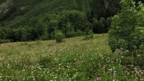 ... #real #aesthetic #mountains #atmosphere #vibes #alone 