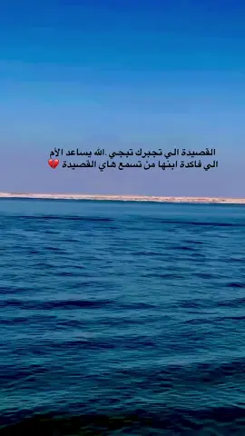 اهنا ياسامع الصوت اني اريد ابني 💔