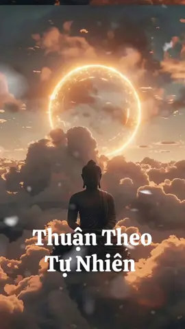 Thuận theo tự nhiên #nammobonsuthichcamauniphat #nammoadidaphat 