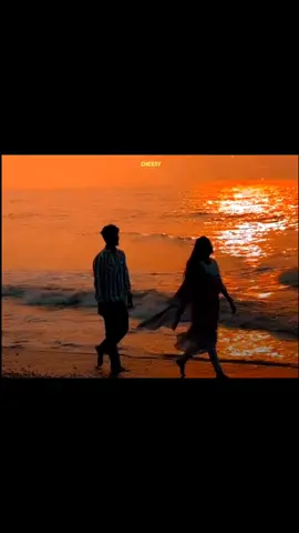 ချစ်မိသွားတော့လည်း သူ့နာမည်လေးကိုပါးစပ်ကမချချင်တော့ဘူး🤭 Ve Haniya (mmsub) #mmsub #lyrics #cheesy1410 #2025 #myanmar 