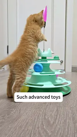 My cat loves this premium toy#cat #pet #toys #fyp 