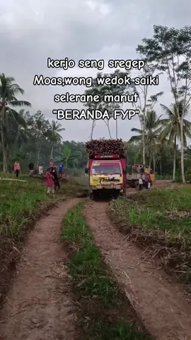 #petanitebu #fypシ゚ #xybca #brandatiktok #swasembadapangan 