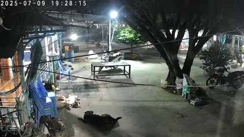 Chó bông à Con bệnh vừa nằm xuốg nghỉ và ko bao giờ tỉnh lại nữa * cám ơn con 14 năm qua đã bảo vệ gia đình của mà chính con cũng là 1 thành viên trong đó …