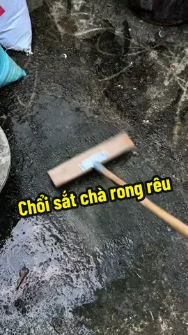 Chổi sắt mạ đồng chà rong rêu , cán cầm linh hoạt , nhiều size lựa chọn #choisatchareu #banchaisatcharongreu #banchaichareu #banchaisatmadong 