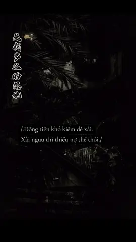 #stt #HồngMiên 