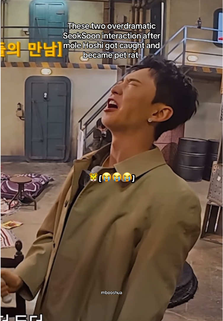 It's always SeokSoon #seventeen #seventeen17_official #kpopfypシ #kpopfypシ #foryoupage #세븐틴 #goingseventeen #dokyeom #hoshi