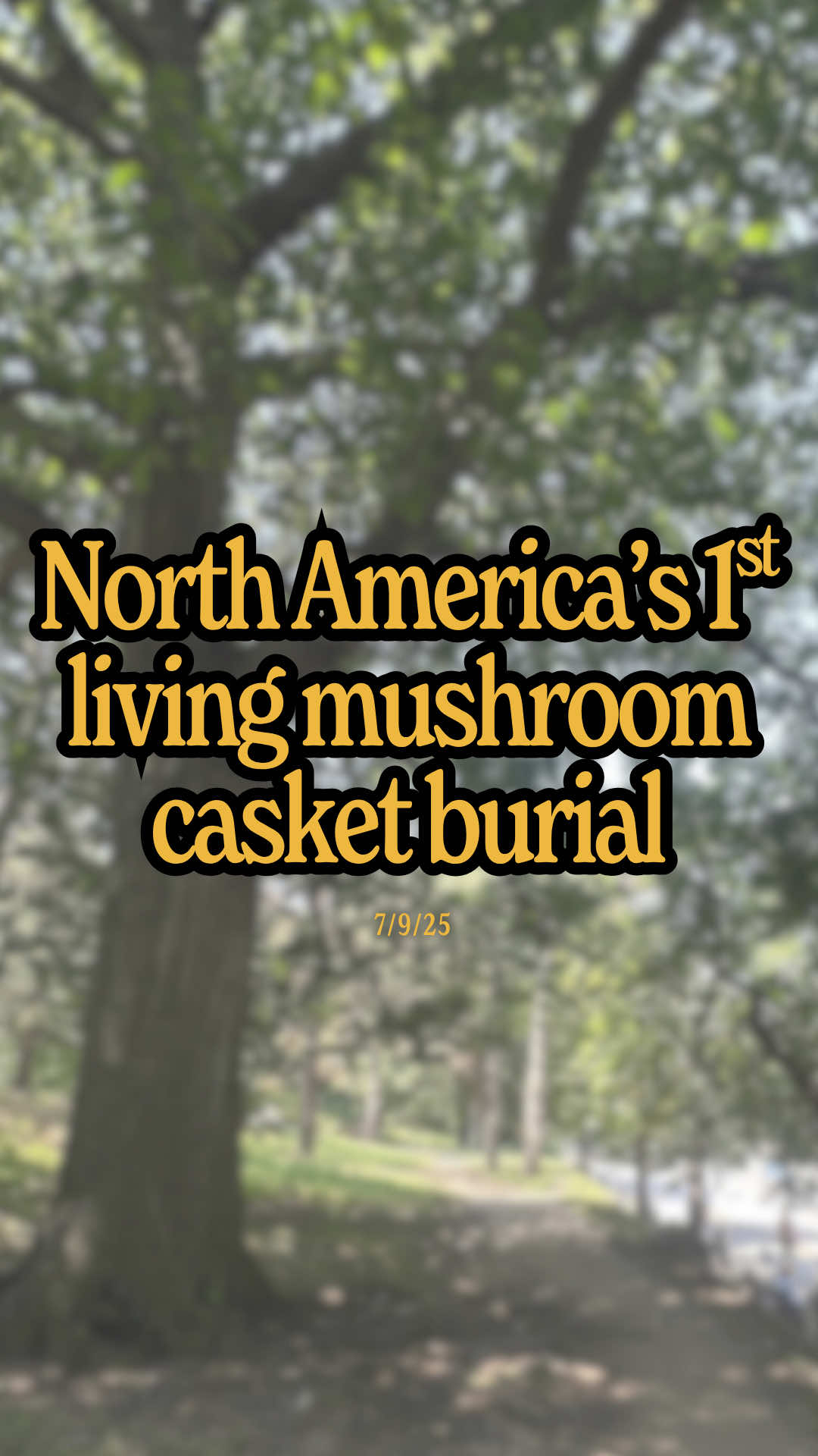 Is this just weird or is it a better future for funerals? 🍄  Marsya honored her father’s wishes to have a natural burial by bringing @Loop Biotech’s mycelium and hemp casket to North America for the first time, laying him down to biodegrade into the earth and become part of a garden… I report what’s going right in the world, see you tomorrow for more :)