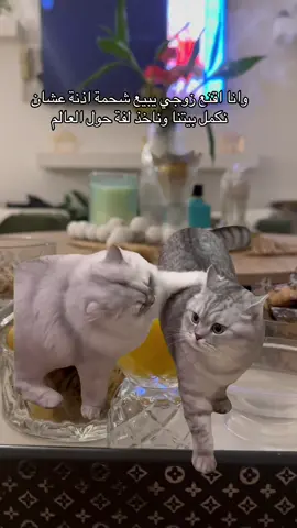 #Meme #MemeCut 