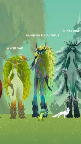 From the smallest to the biggest Tree! 🌳 Our most viral animation!  #fy #fyp #foryou #foryoupage #cute #art #dryads #animation #2danimation #nature #scale #trees #plants #fantasy #magic #fantasy #viral #trend #trendy #characterdesign #illustration 