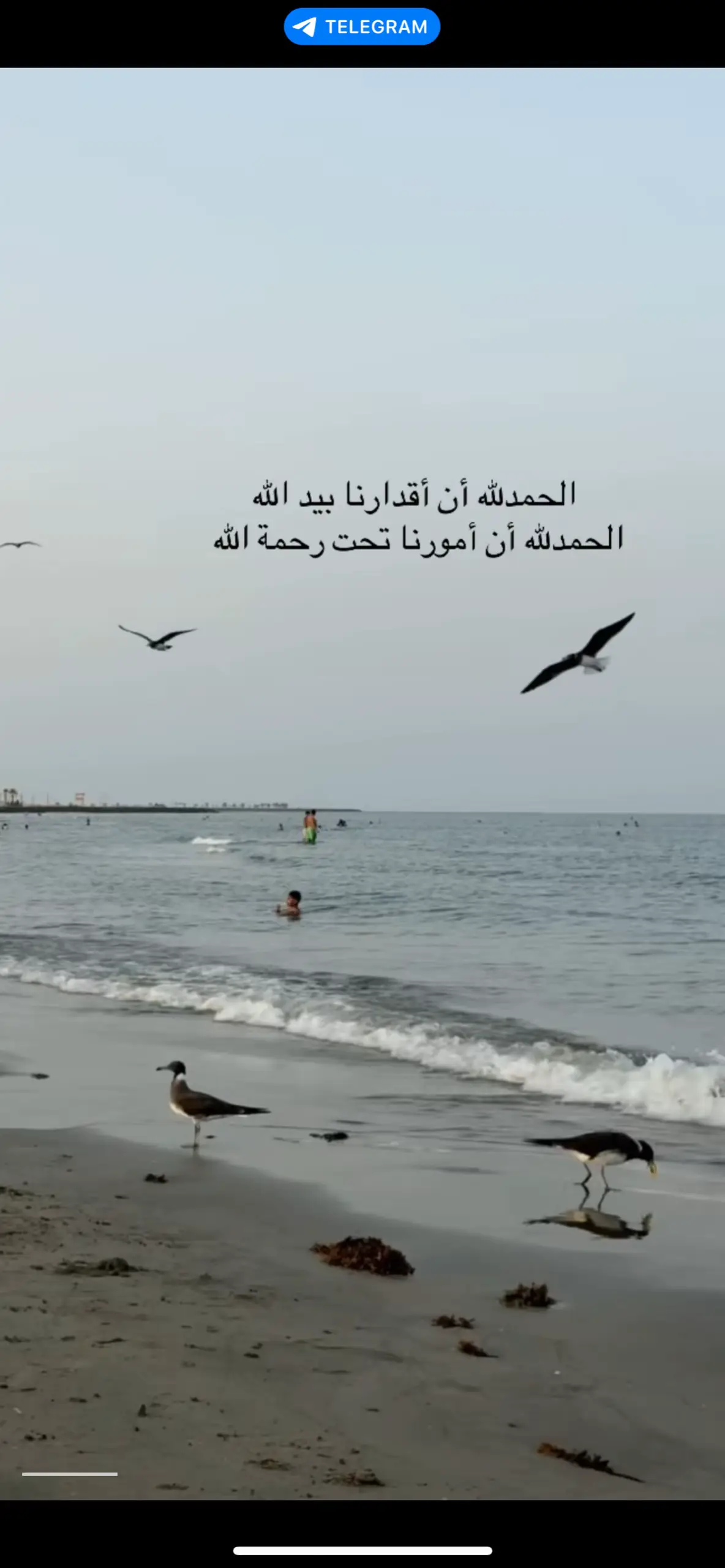 #الحمدلله_دائماً_وابداً #اكسبلور #fypシ゚viral #مجرد_ذووقツ🖤🎼 