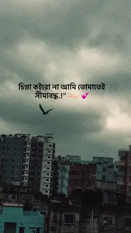 চিন্তা কইরো না আমি তোমাতেই সীমাবদ্ধ.!