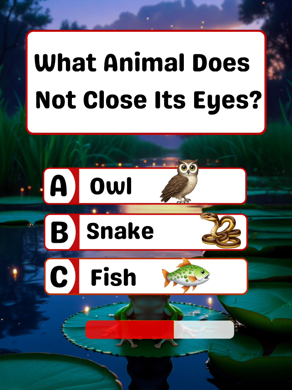 Animals Quiz 🐩 🐧 🦉 🦕 🐙 🦣🐒🦍🦧🐵. .. .. .. .. .. .. .. .. .. .. .. #quiz #quiztime  #animalquiz #factualquiz  #quizzes #quizchallenge 
