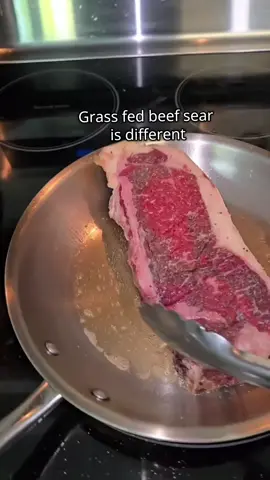 grass fed sear or regular steak sear
