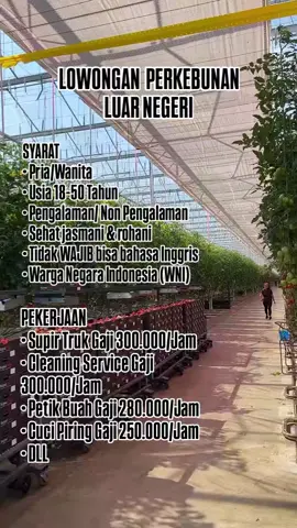 link pendaftaran ada di bio profil👉 #loker #fyp #lokerterbaru #luarnegeri #foryou #beranda #update #kebun 