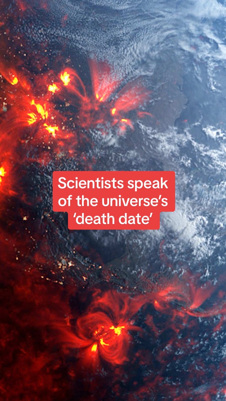 ⬆️READ MORE HERE⬆️