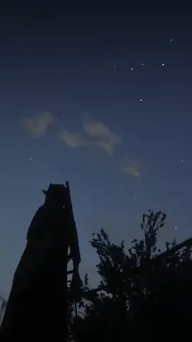 “Wait, where’d he go?” #rdr2 #rdr2online #rdr2clips #fyp #gaming #games #game #funny #perfectlycutscreams #perfecttimeing 
