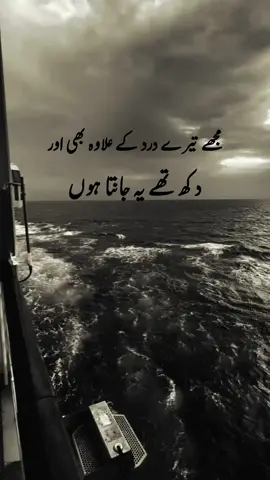 #شاعری #شاعری #fyppppppppppppppppppppppp #fypシ゚viral #اردو #viralvideo #unfrezzmyaccount #viral 