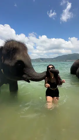 #travel #thailand #thailandtravel #funny #funnyvideos #creatorsearchinsights 