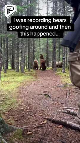 Bro nearly turned into the bear’s dinner 😮🐻 #RoadTo18Million #Pubity  (@chrisangphoto via ViralHog)